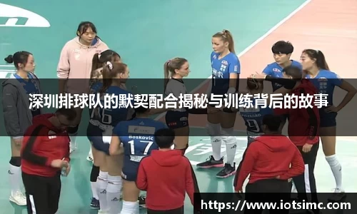 深圳排球队的默契配合揭秘与训练背后的故事